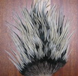 DF  Indian saddle badger silver # 2
